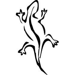 salamandre4