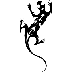 salamandre5