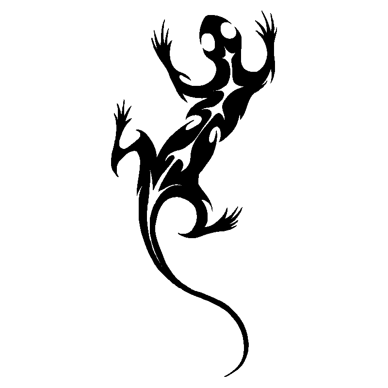 salamandre5