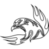 eagle1
