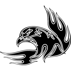 eagle2