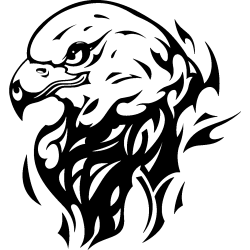 eagle5
