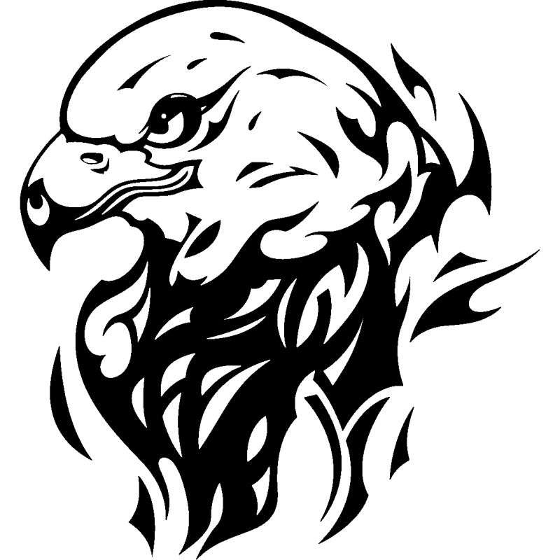 eagle5