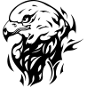 eagle5