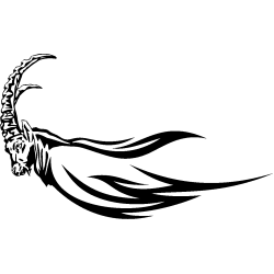 tribal 4691