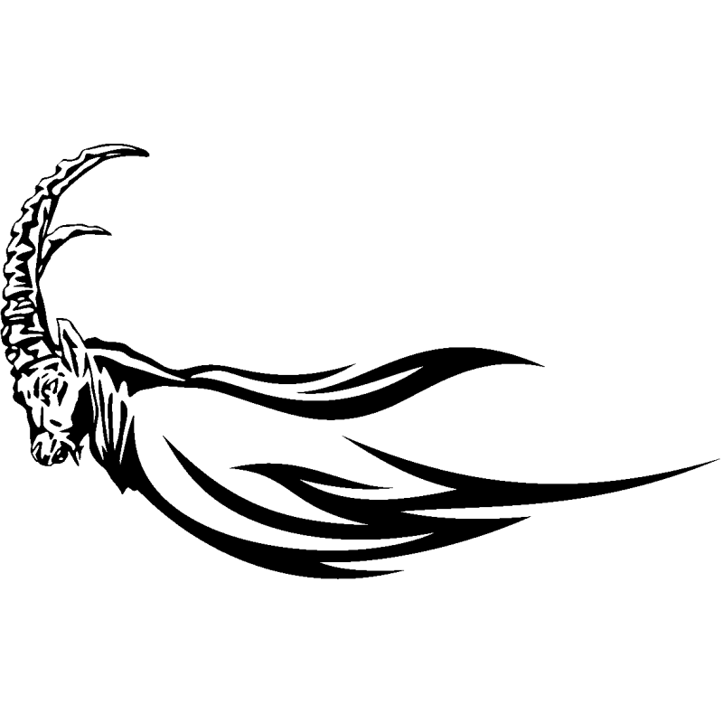 tribal 4691