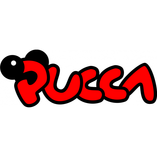 Pucca 2