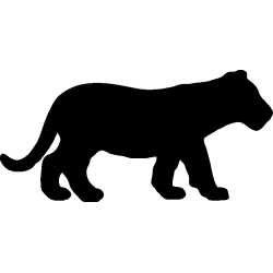 panthere1