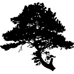 asie238