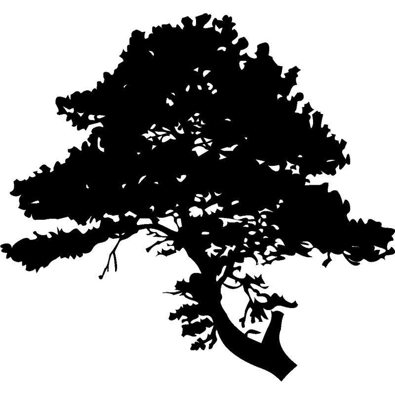 asie238