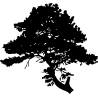 asie238