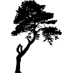 asie240
