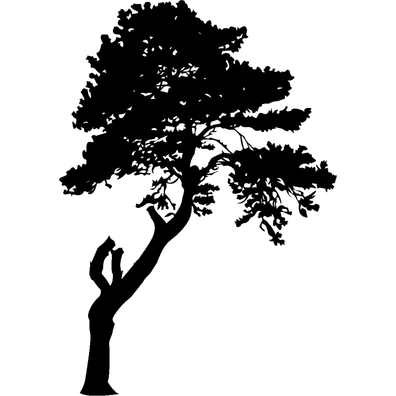 asie240