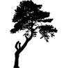 asie240
