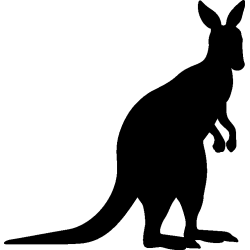 kangourou1