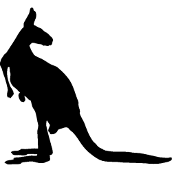 kangourou2