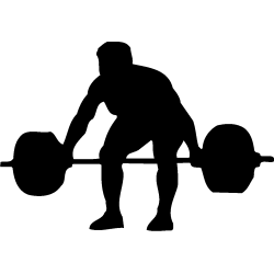 sport 5160