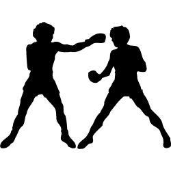 sport 5161
