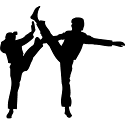 sport 5163