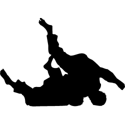 sport 5165