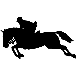 sport 5166