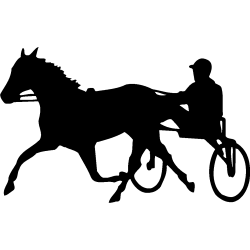 sport 5168