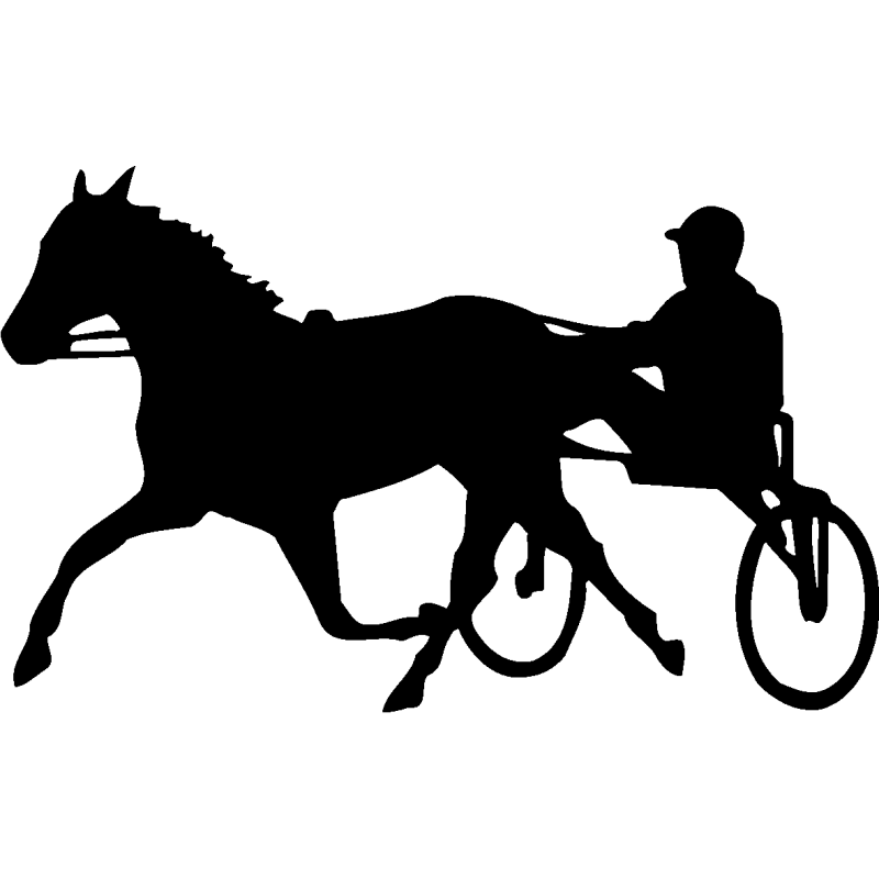 sport 5168