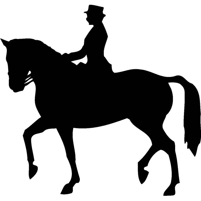 sport 5169