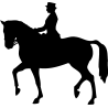 sport 5169