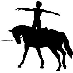 sport 5170