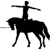 sport 5170