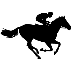 sport 5171