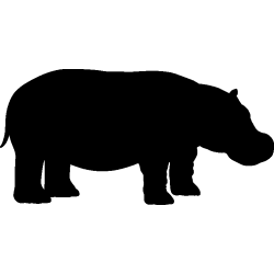 hypopotame1