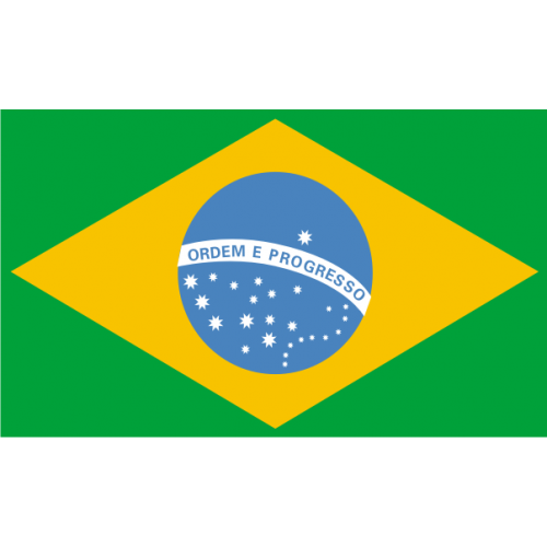 drapeau brésilien