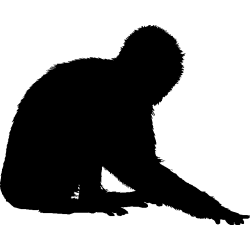 singe6