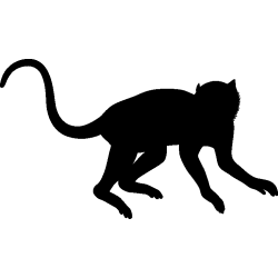 singe10