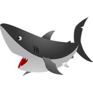 Crazy pet requin