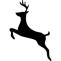 cerf5