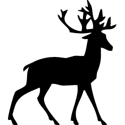 cerf6