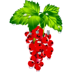 Fruit 400