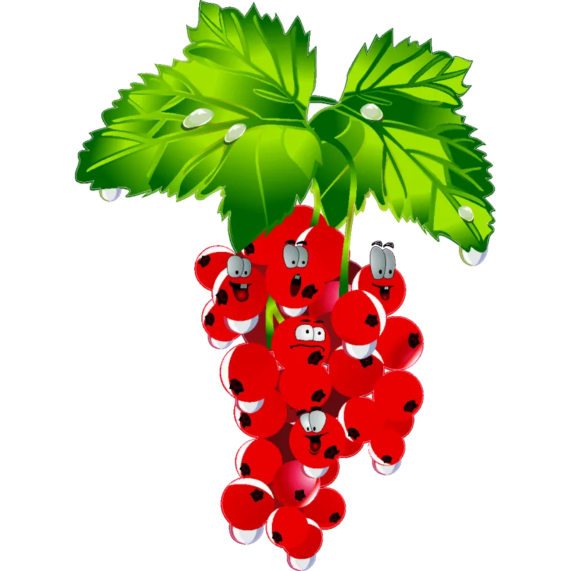 Fruit 400