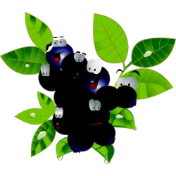 Fruit 404