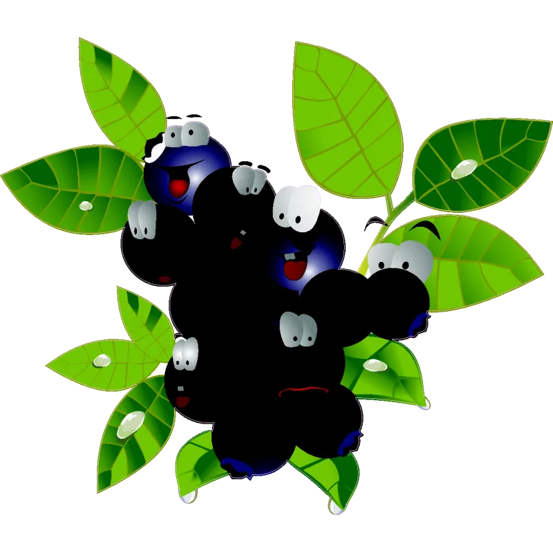 Fruit 404