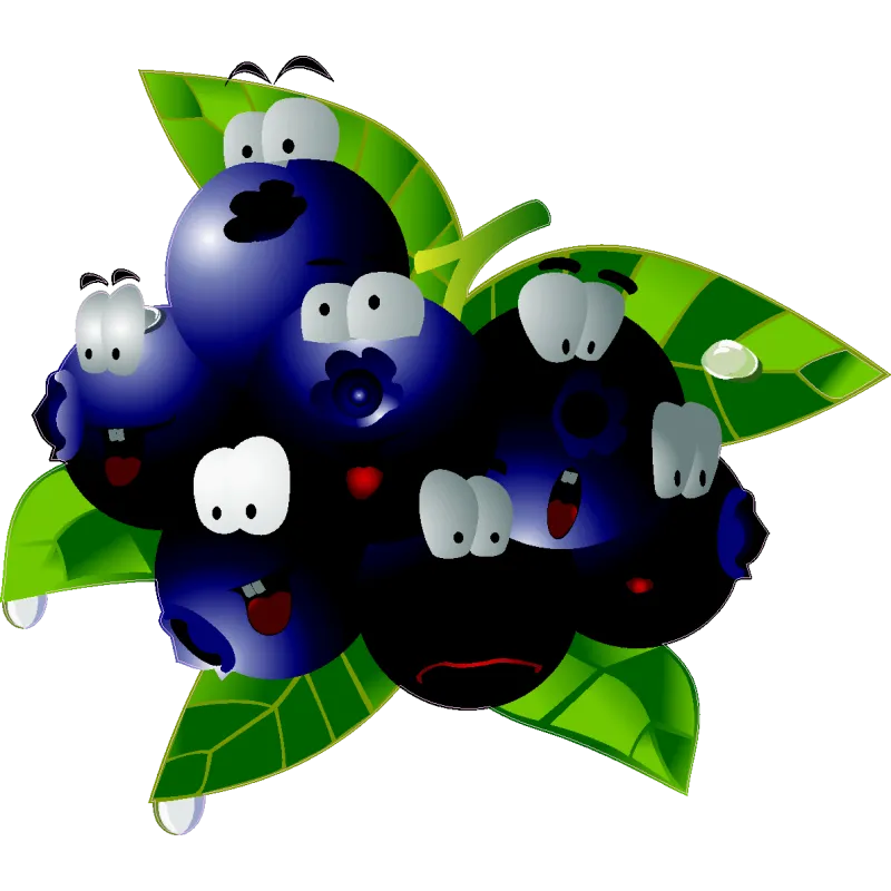 Fruit 404