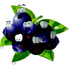 Fruit 404