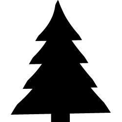 noel5243