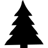 noel5243