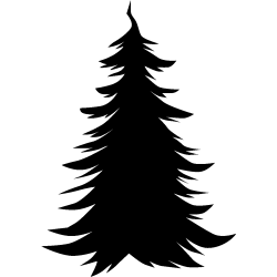 noel5245