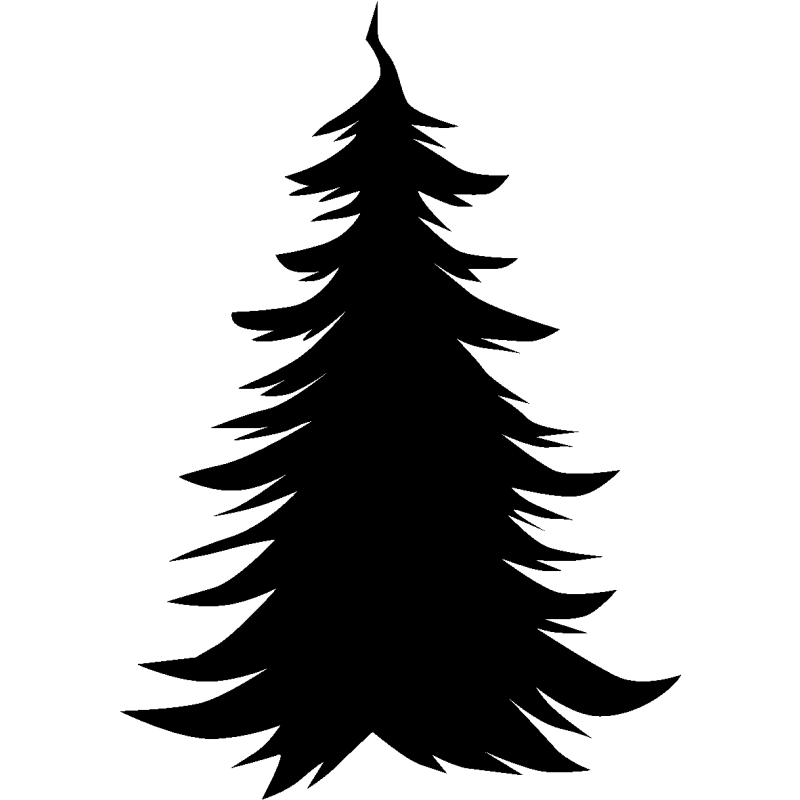noel5245