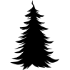 noel5245